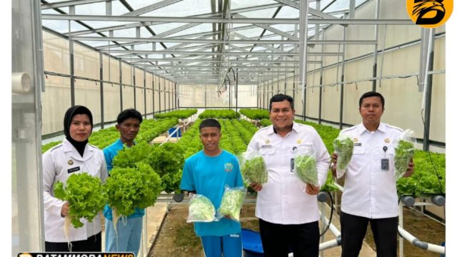 Rutan Batam Bagikan 300 Ikat Selada Hasil Panen Program Pembinaan Hidroponik yang Di Kelola Warga Binaan