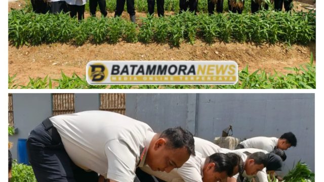 Panen 150 Kg Kangkung, Lapas Batam Wujudkan Ketahanan Pangan dan Dukung Asta Cita Presiden