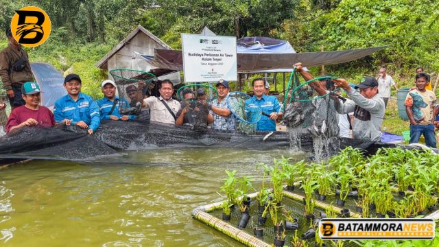 Kabupaten Kayong Utara Tunjukkan Tren Positif Pertumbuhan Ekonomi, PSN di Pulau Penebang jadi Motor Penggerak Perekonomian