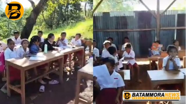 Tuai Keprihatinan Warganet, Viral Kondisi SD di Manggarai Barat: dari Siswa Belajar di Bawah Pohon hingga Bangunan Kelas dari Seng