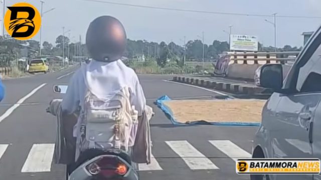 Momen Tak Biasa saat Panen, Viral Petani Jemur Gabah di Jalan Bypass Mamminasata Maros Sulsel