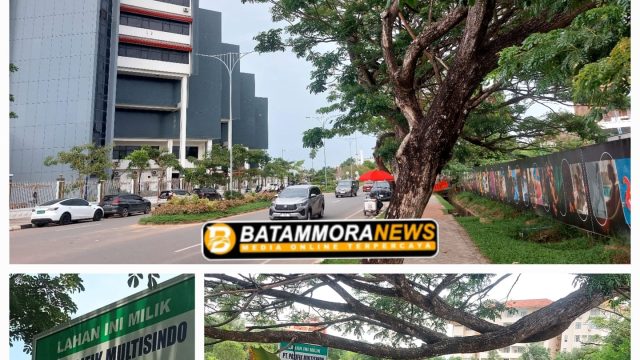 Empat Tahun Pascaterbitnya PL, Lahan PT PMP di Depan Kantor BP Batam Belum Dibangun, Dugaan Perlakuan Khusus Mencuat