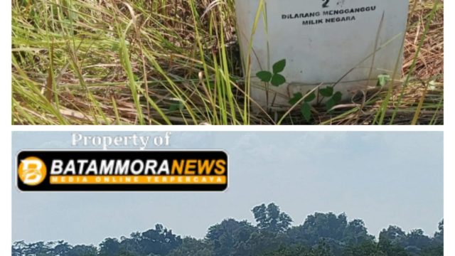 Tugu Batas HL 24 Diduga Hilang di Tengah Penimbunan Mangrove Sei Pelunggut, Asal Tanah dan Legalitas Proyek Dipertanyakan