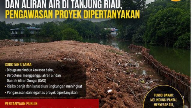 Diduga Timbun Kawasan Bakau dan Aliran Air di Tanjung Riau, Pengawasan Proyek Dipertanyakan